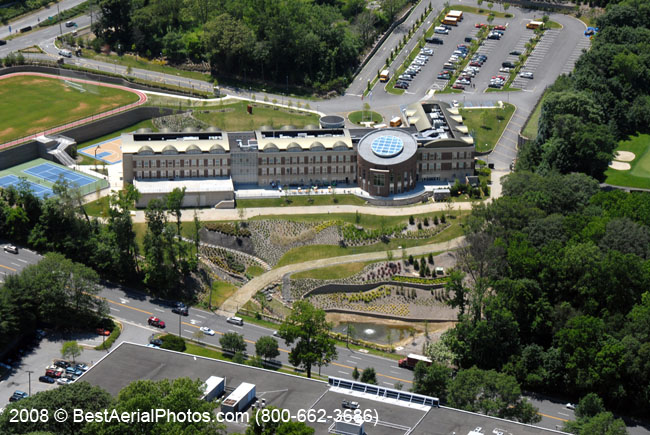 033_NSHA-Spector_6-19-08