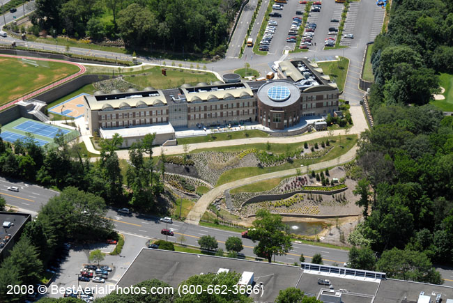 035_NSHA-Spector_6-19-08