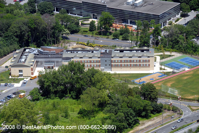 052_NSHA-Spector_6-19-08